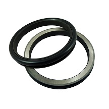 Matalic Face Seal 
